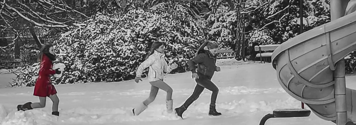 Panoramic monochrome field in gray tones, with strong contrast, defined edges, and a layered field